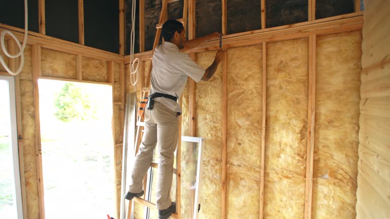 Eco-Friendly or Green Insulation Solutions in Paris, TX